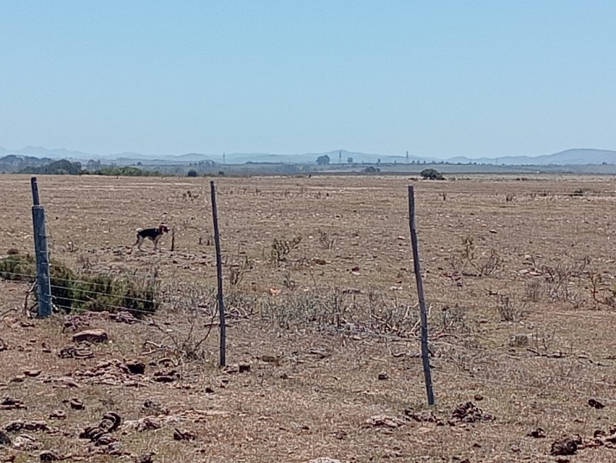 Commercial Property for Sale in Humansdorp Rural Eastern Cape
